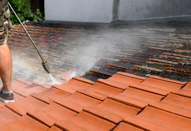 Best Exterior Home Cleaning  in Sulligent, AL